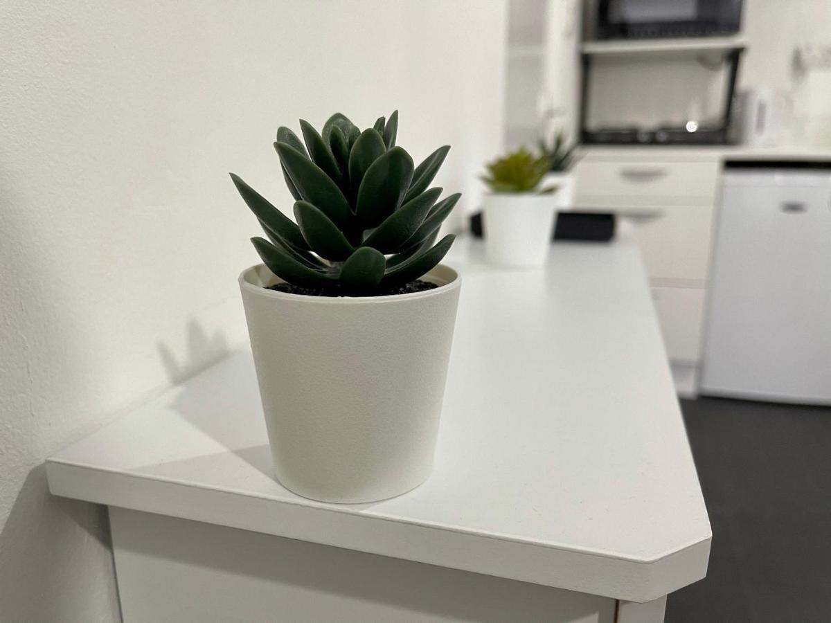 Wisteria Studio لندن المظهر الخارجي الصورة